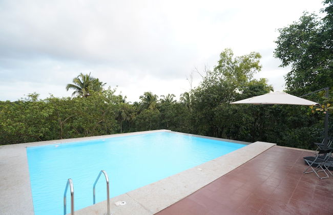 Indira Farms - Foto 20