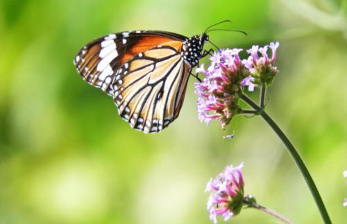 Apartamento con encanto en el Pirineo - Foto 27