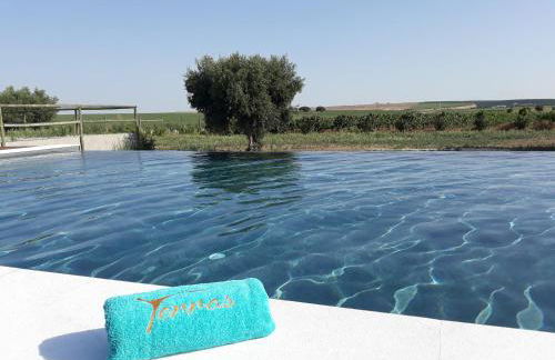 Terras - Agroturismo & Vinhos - Foto 1