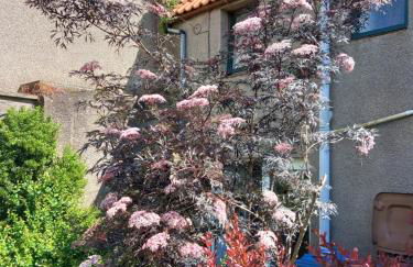 Folly Cottage - Foto 14