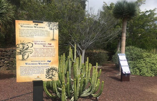 "Pyramiden von Güímar Eintritt PREMIUM Ticket" - Foto 19