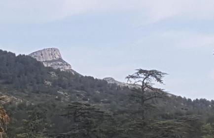 Charmant Appartement Neuf Le Taoume - Foto 31