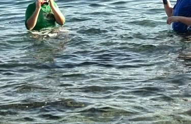 Apartment Pilatus Ošljak - Photo 25