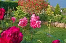 Cozy Apollon Villa, Sea View, Next To Galaxidi - Photo 31