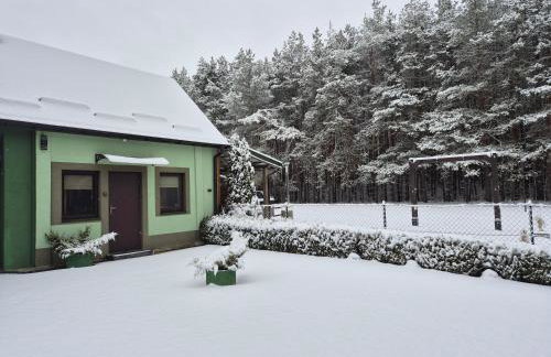 Szyszkowy Domek - Foto 12