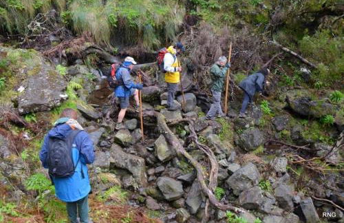Casa do Manuel - Foto 64