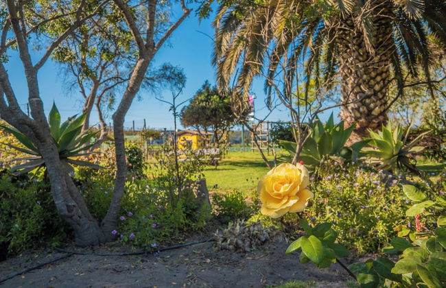 Cabaña Villa Los Plátanos - Foto 18