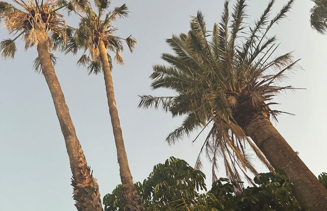 Lake Mulwala Boatel - Photo 61