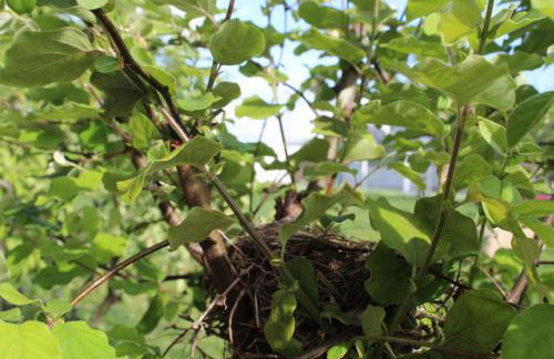 Casa d'Amares - Foto 24