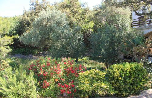 Apartments by the sea Cove Merascica, Cres - 8071 - Foto 8