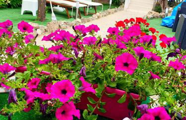 Casa di Venere - Fossacesia - Foto 30