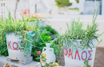 tony's house - Foto 7