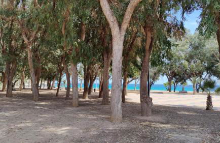 ALLONBAY sun & beach penthouse - Foto 49