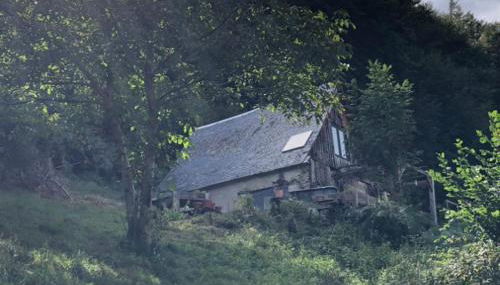 Une nuit en CABANE dans la Forêt - Foto 2