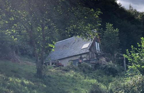 Une nuit en CABANE dans la Forêt - Photo 2