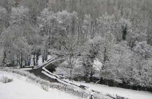 Little Cow House - Foto 34