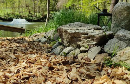 Altes Forsthaus Bodenmais - Foto 13