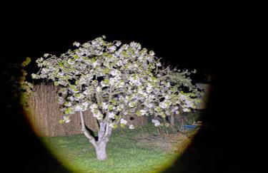 Am Gallowayhof - Foto 12