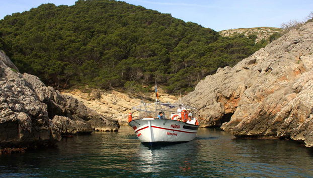 Boat Tour of the Medes Islands & Montgrí Natural Park - Foto 2