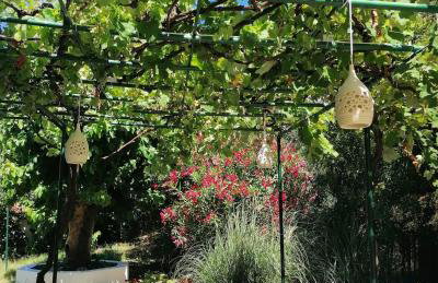 Villa Anna - Foto 72