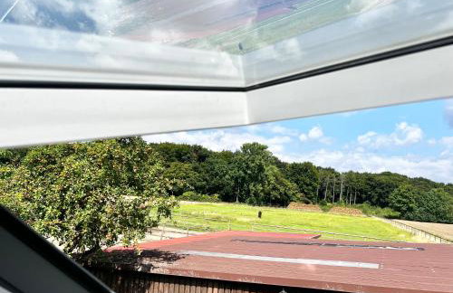 Wohnen auf dem Ponyhof - Photo 9