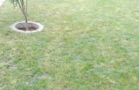 Villa Santo Antonio - Photo 22