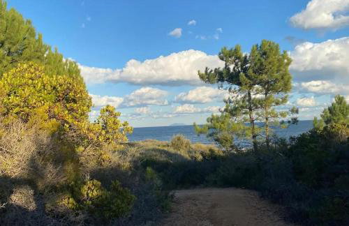 Gîtes Terra di a Bravona - Foto 61