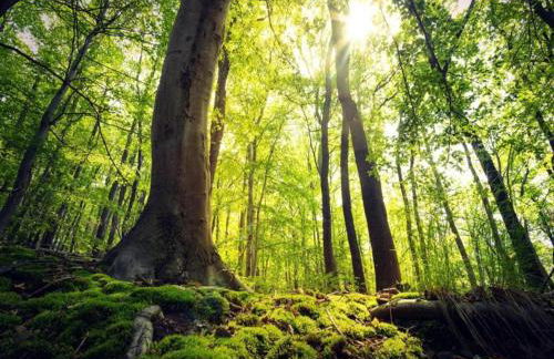 Wohnung in Stormbruch nahe dem Skigebiet - Foto 17