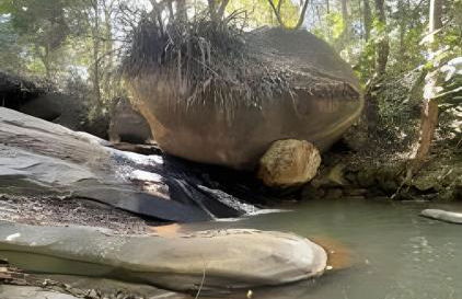 Sítio das Flores, 7 Km do centro de Castelo - Foto 27
