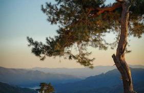 Casa Fonte Fria - Foto 12