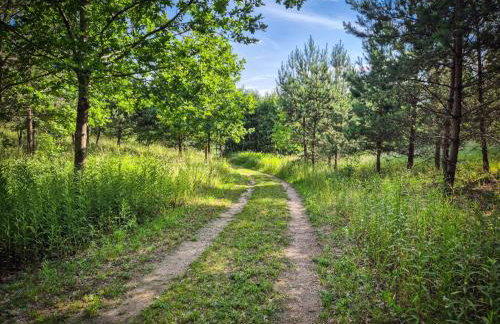 Domki nad jeziorem - Foto 13