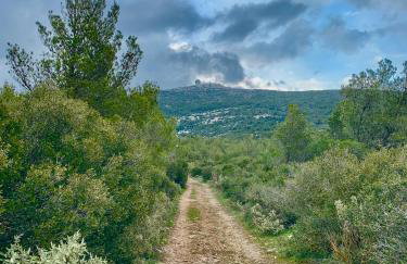 Lillian’s House - Foto 80