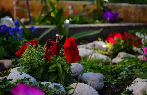 Apartment Marko - Photo 47