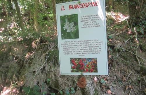 Agriturismo le Spighe - Fattoria Bertaccini - Foto 93