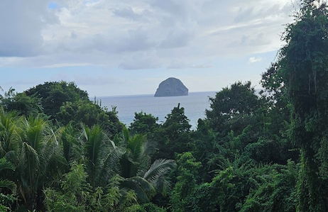 Aparthotel in Le Diamant with swimming pool and garden - Foto 18