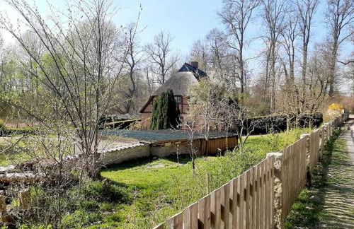 Fischerhaus Whg Sonnenaufgang - Foto 31