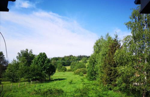 Apartamenty "Kwiaty Nocy" i "W Krainie Mchu" - Wisła - Foto 21