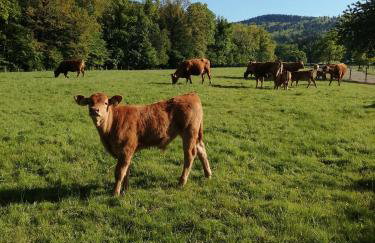 Domek w Górach Sowich - Foto 33