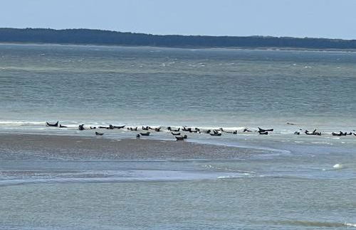Plage à 50m Appartement Rêves étoilés Villa Les Bains de Mers - Foto 41