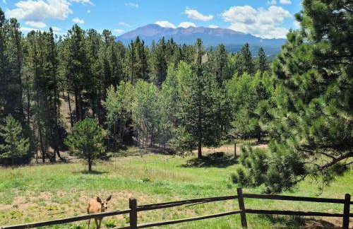 Mills Ranch - Foto 38