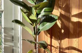 Old Chapel House - Foto 52