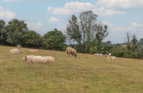 The Cadeleigh - Foto 34