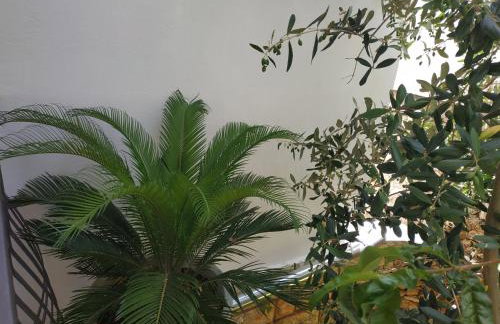Apartment Lavanda Nova - Foto 46