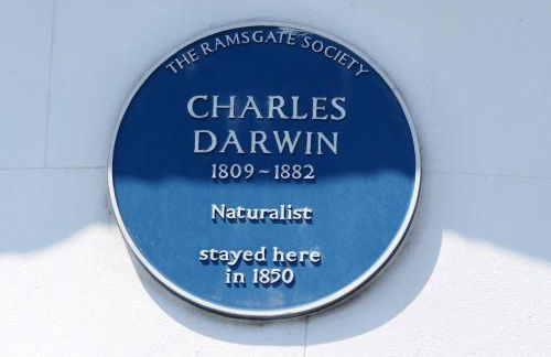 Reverie Escape by Halisi - Foto 12