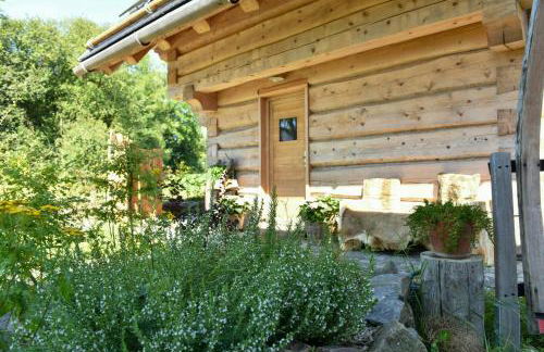 Log Cabin With Sauna In The Upper Harz Mountains - Foto 22