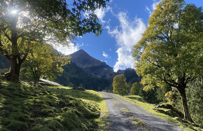 Spring Inn Apartments - Foto 50