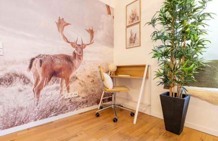 NaturOase, Moderne Architektur - Arbeitsplatz - Klimaanlage - Parkplatz - Waschmaschine - Foto 11