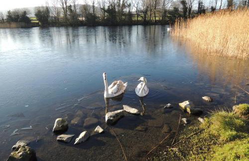 Sally's Garden - Photo 1