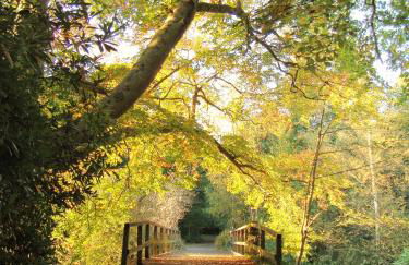 Dartmoor Reach Alpaca Farm - Foto 86
