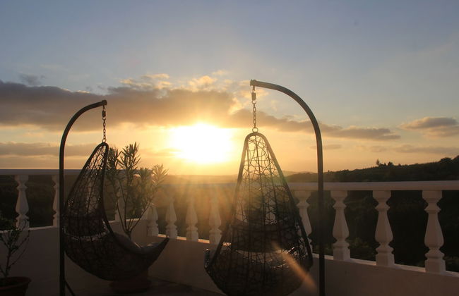 Terra Luso - Foto 20